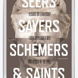 SEERS, SAYERS, SCHEMERS & SAINTS (Ebook)